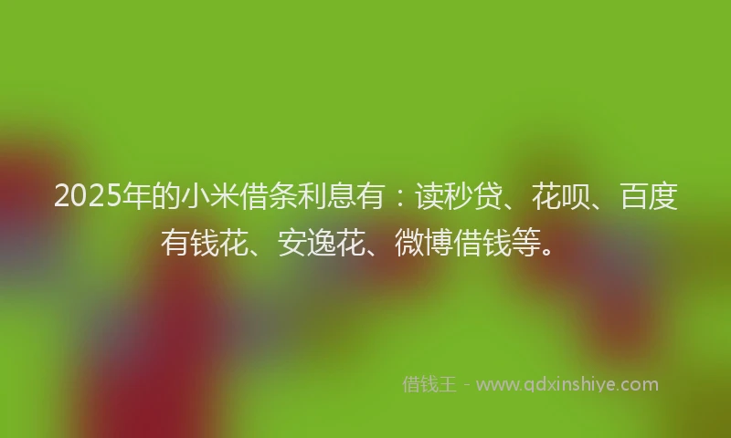2025年的小米借条利息有：读秒贷、花呗、百度有钱花、安逸花、微博借钱等。