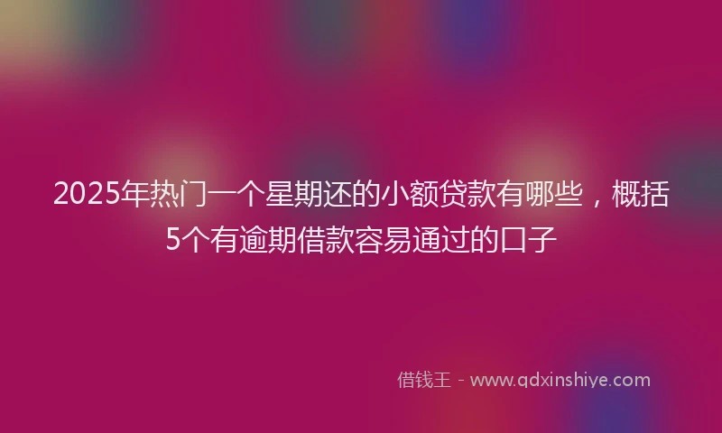 2025年热门一个星期还的小额贷款有哪些，概括5个有逾期借款容易通过的口子