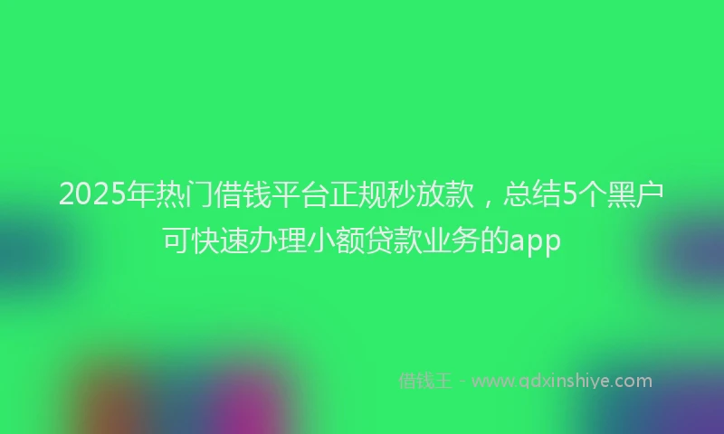 2025年热门借钱平台正规秒放款，总结5个黑户可快速办理小额贷款业务的app