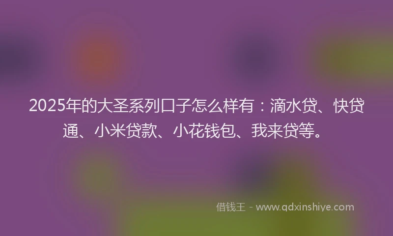 2025年的大圣系列口子怎么样有：滴水贷、快贷通、小米贷款、小花钱包、我来贷等。