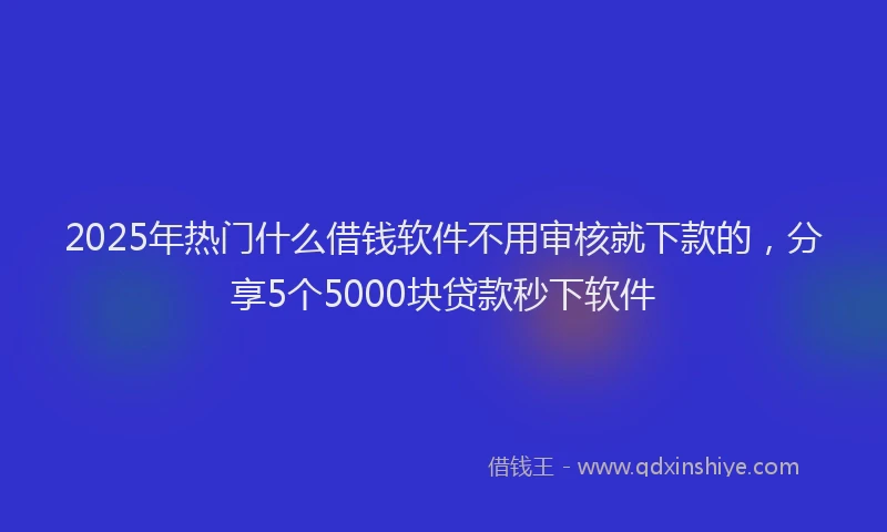 2025年热门什么借钱软件不用审核就下款的，分享5个5000块贷款秒下软件