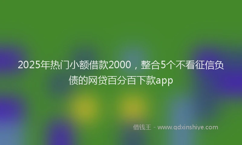 2025年热门小额借款2000，整合5个不看征信负债的网贷百分百下款app
