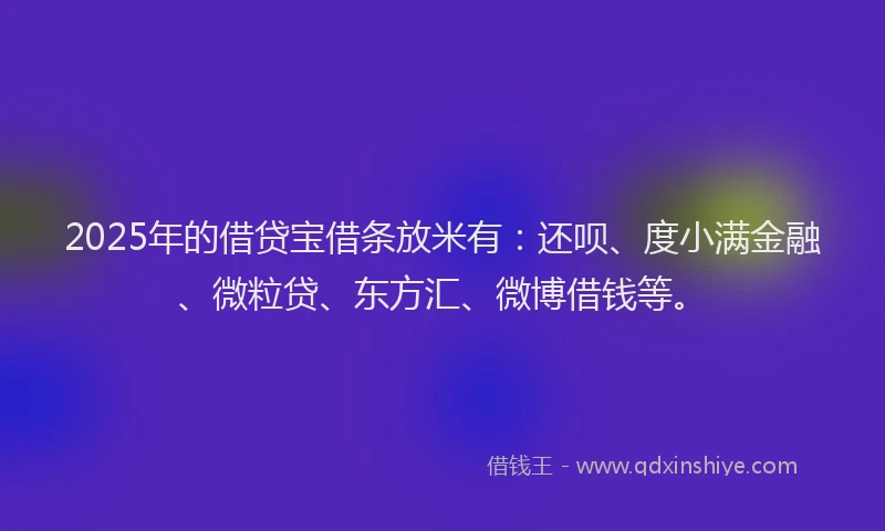 2025年的借贷宝借条放米有：还呗、度小满金融、微粒贷、东方汇、微博借钱等。
