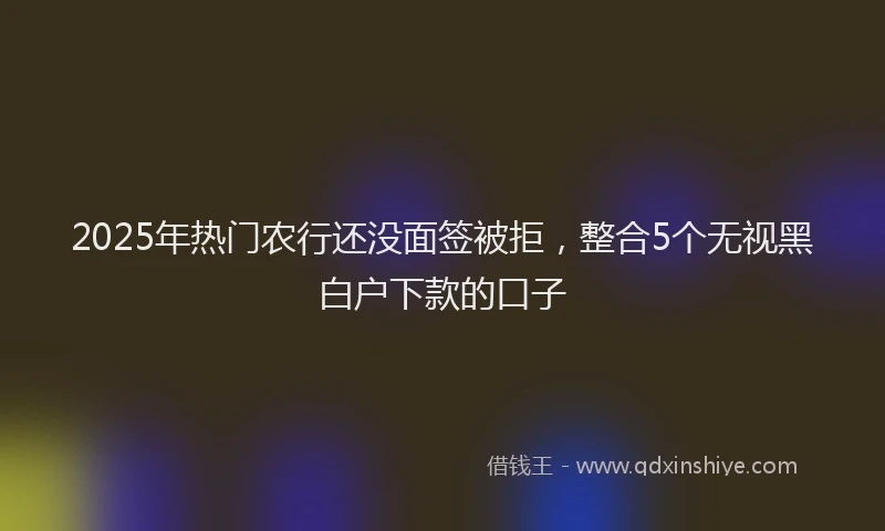 2025年热门农行还没面签被拒，整合5个无视黑白户下款的口子