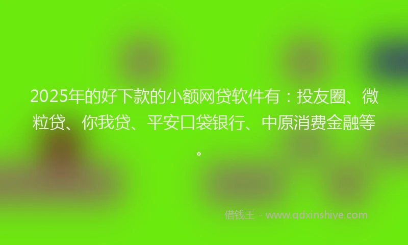 2025年的好下款的小额网贷软件有：投友圈、微粒贷、你我贷、平安口袋银行、中原消费金融等。