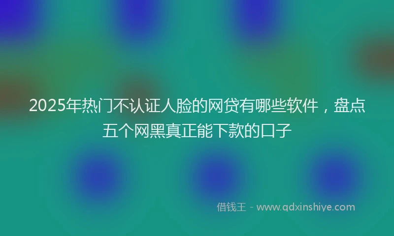 2025年热门不认证人脸的网贷有哪些软件，盘点五个网黑真正能下款的口子