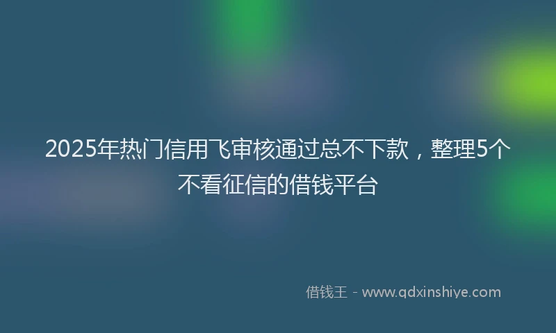 2025年热门信用飞审核通过总不下款，整理5个不看征信的借钱平台