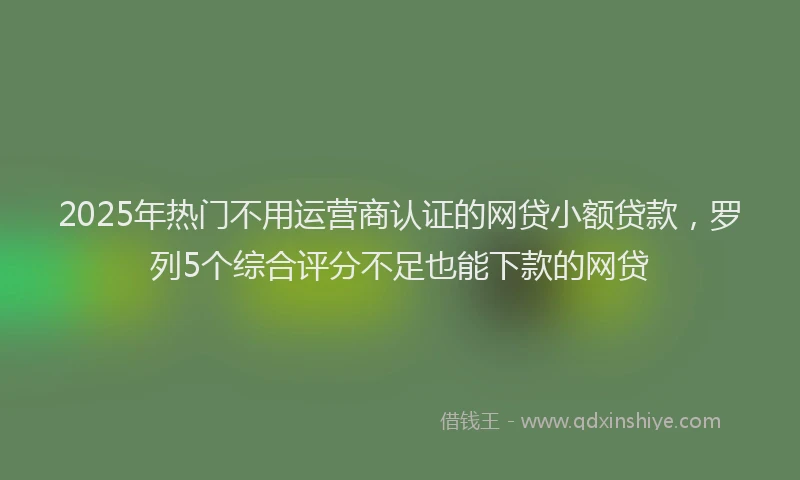 2025年热门不用运营商认证的网贷小额贷款，罗列5个综合评分不足也能下款的网贷
