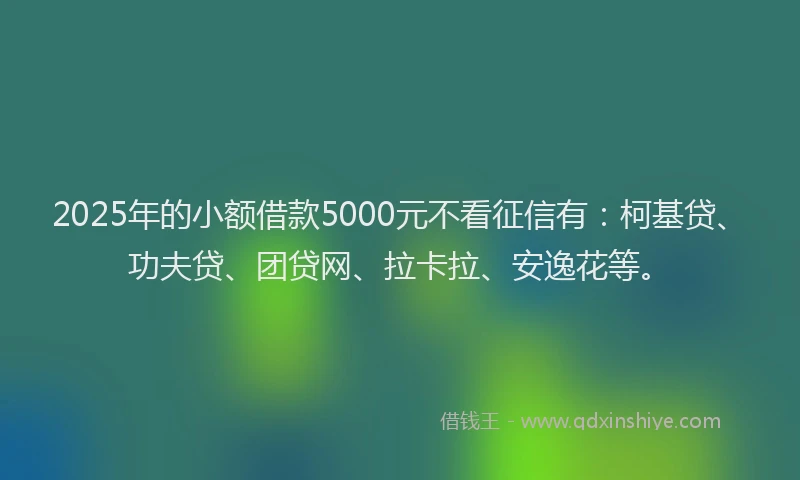 2025年的小额借款5000元不看征信有：柯基贷、功夫贷、团贷网、拉卡拉、安逸花等。