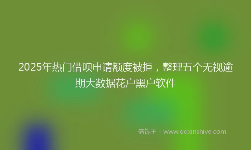2025年热门借呗申请额度被拒，整理五个无视逾期大数据花户黑户软件
