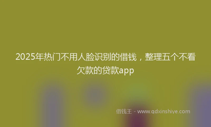 2025年热门不用人脸识别的借钱，整理五个不看欠款的贷款app