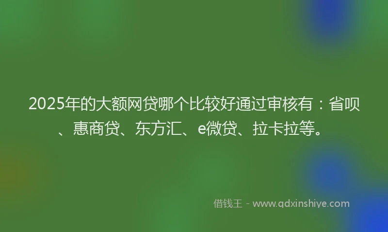 2025年的大额网贷哪个比较好通过审核有：省呗、惠商贷、东方汇、e微贷、拉卡拉等。