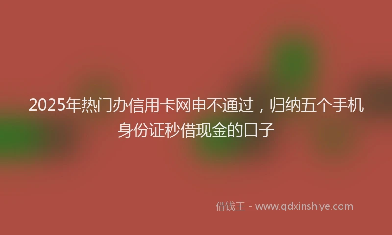 2025年热门办信用卡网申不通过，归纳五个手机身份证秒借现金的口子