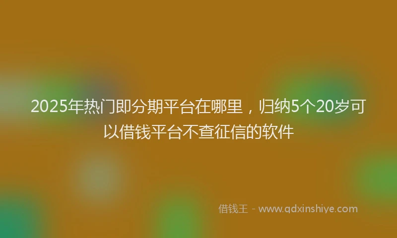2025年热门即分期平台在哪里，归纳5个20岁可以借钱平台不查征信的软件