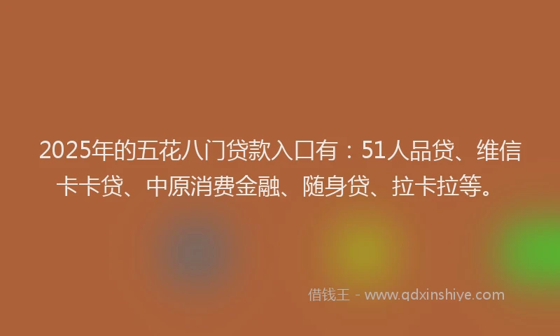 2025年的五花八门贷款入口有：51人品贷、维信卡卡贷、中原消费金融、随身贷、拉卡拉等。
