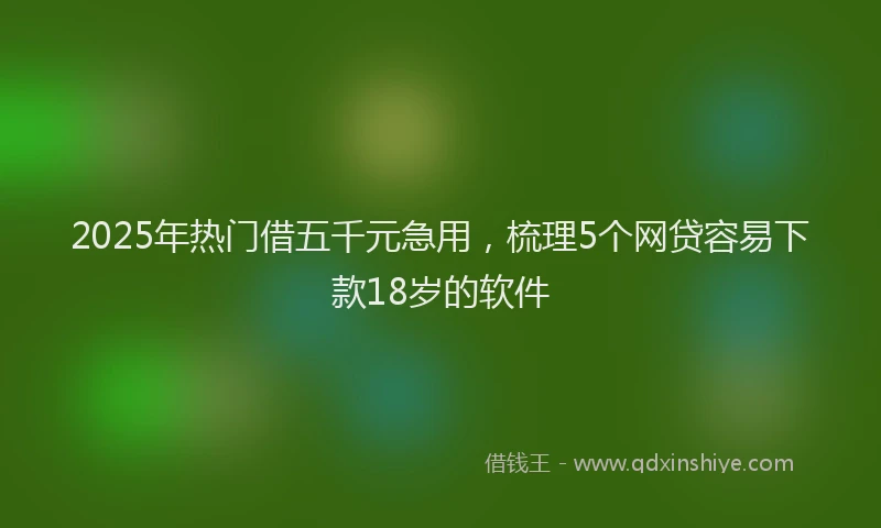 2025年热门借五千元急用，梳理5个网贷容易下款18岁的软件