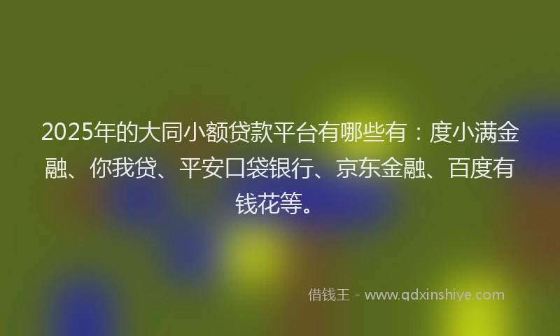 2025年的大同小额贷款平台有哪些有：度小满金融、你我贷、平安口袋银行、京东金融、百度有钱花等。