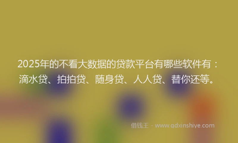 2025年的不看大数据的贷款平台有哪些软件有：滴水贷、拍拍贷、随身贷、人人贷、替你还等。