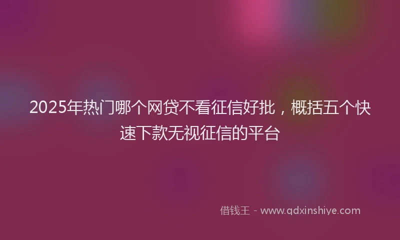 2025年热门哪个网贷不看征信好批，概括五个快速下款无视征信的平台