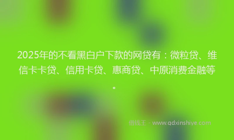 2025年的不看黑白户下款的网贷有：微粒贷、维信卡卡贷、信用卡贷、惠商贷、中原消费金融等。