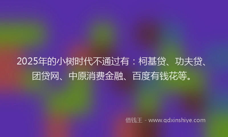 2025年的小树时代不通过有：柯基贷、功夫贷、团贷网、中原消费金融、百度有钱花等。