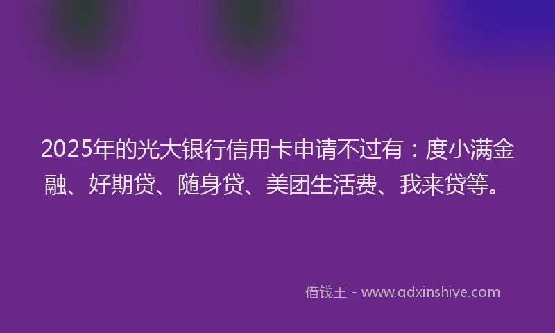 2025年的光大银行信用卡申请不过有：度小满金融、好期贷、随身贷、美团生活费、我来贷等。