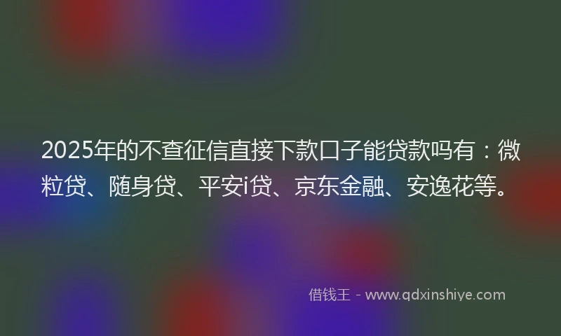 2025年的不查征信直接下款口子能贷款吗有：微粒贷、随身贷、平安i贷、京东金融、安逸花等。
