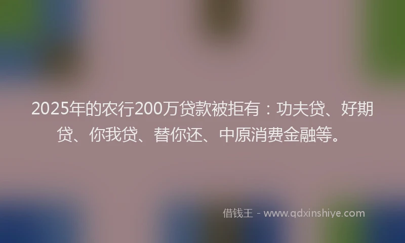 2025年的农行200万贷款被拒有：功夫贷、好期贷、你我贷、替你还、中原消费金融等。