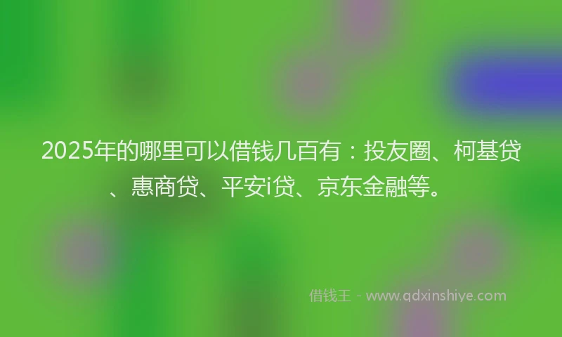 2025年的哪里可以借钱几百有：投友圈、柯基贷、惠商贷、平安i贷、京东金融等。
