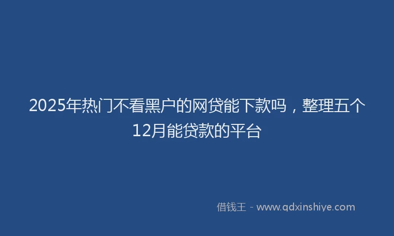 2025年热门不看黑户的网贷能下款吗，整理五个12月能贷款的平台