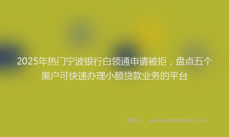 2025年热门宁波银行白领通申请被拒，盘点五个黑户可快速办理小额贷款业务的平台