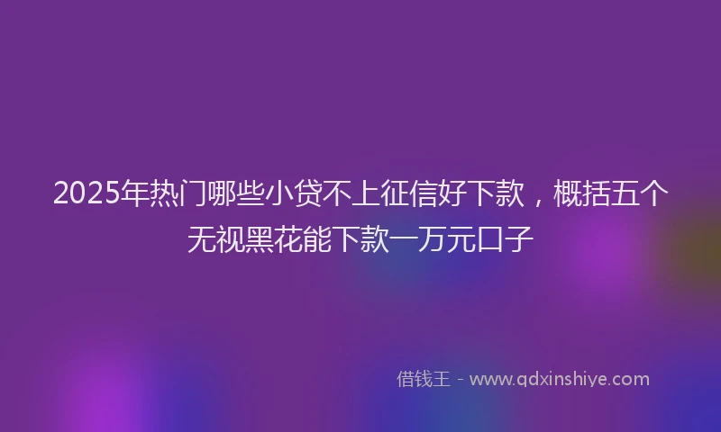 2025年热门哪些小贷不上征信好下款，概括五个无视黑花能下款一万元口子