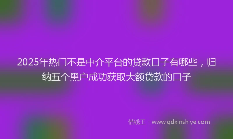 2025年热门不是中介平台的贷款口子有哪些，归纳五个黑户成功获取大额贷款的口子