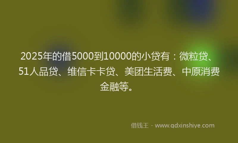 2025年的借5000到10000的小贷有：微粒贷、51人品贷、维信卡卡贷、美团生活费、中原消费金融等。