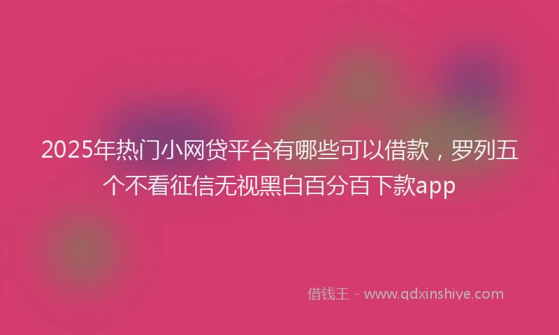 2025年热门小网贷平台有哪些可以借款，罗列五个不看征信无视黑白百分百下款app