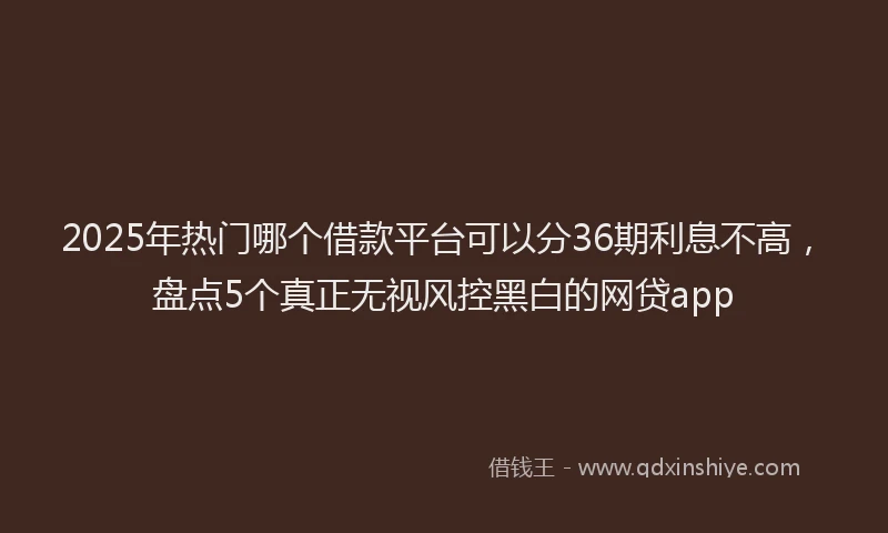 2025年热门哪个借款平台可以分36期利息不高，盘点5个真正无视风控黑白的网贷app