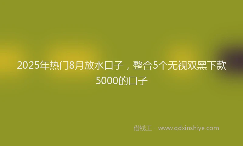 2025年热门8月放水口子，整合5个无视双黑下款5000的口子