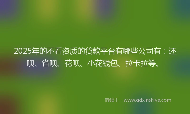 2025年的不看资质的贷款平台有哪些公司有：还呗、省呗、花呗、小花钱包、拉卡拉等。
