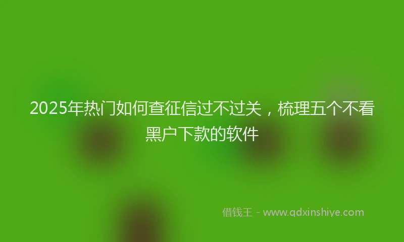 2025年热门如何查征信过不过关，梳理五个不看黑户下款的软件