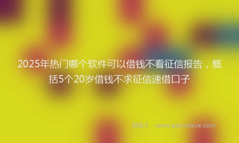 2025年热门哪个软件可以借钱不看征信报告，概括5个20岁借钱不求征信速借口子