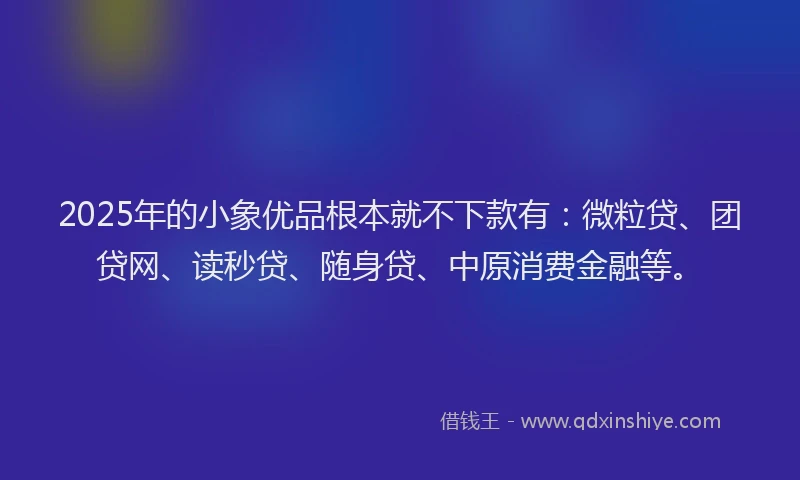 2025年的小象优品根本就不下款有：微粒贷、团贷网、读秒贷、随身贷、中原消费金融等。