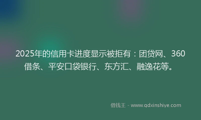2025年的信用卡进度显示被拒有：团贷网、360借条、平安口袋银行、东方汇、融逸花等。