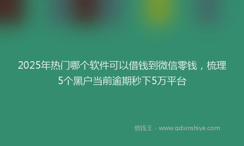 2025年热门哪个软件可以借钱到微信零钱，梳理5个黑户当前逾期秒下5万平台