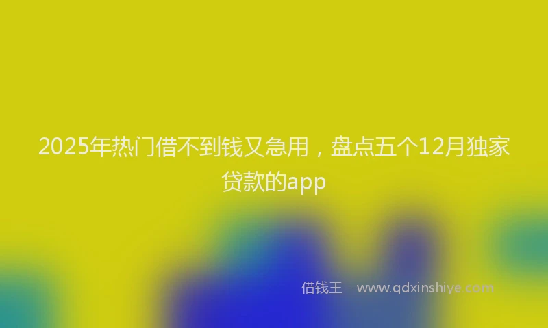 2025年热门借不到钱又急用，盘点五个12月独家贷款的app