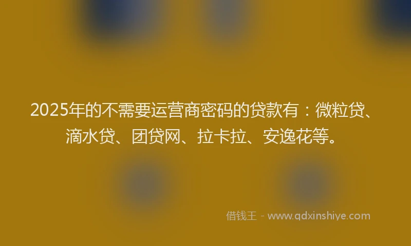 2025年的不需要运营商密码的贷款有：微粒贷、滴水贷、团贷网、拉卡拉、安逸花等。