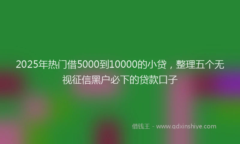 2025年热门借5000到10000的小贷，整理五个无视征信黑户必下的贷款口子
