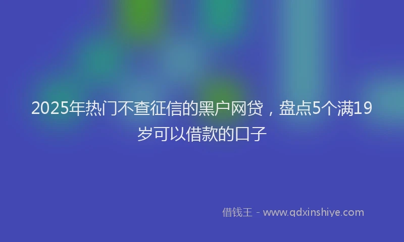2025年热门不查征信的黑户网贷，盘点5个满19岁可以借款的口子