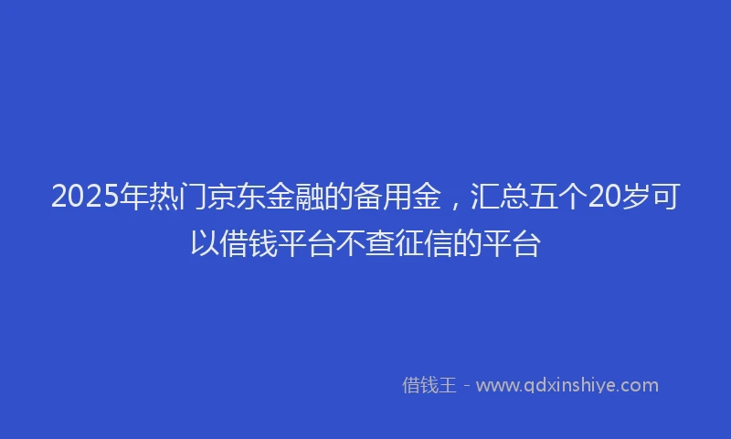 2025年热门京东金融的备用金，汇总五个20岁可以借钱平台不查征信的平台