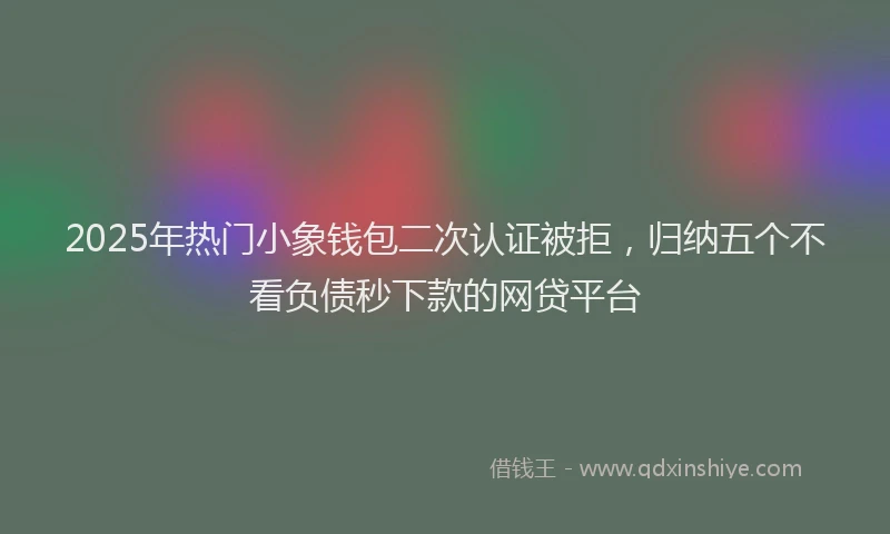 2025年热门小象钱包二次认证被拒，归纳五个不看负债秒下款的网贷平台