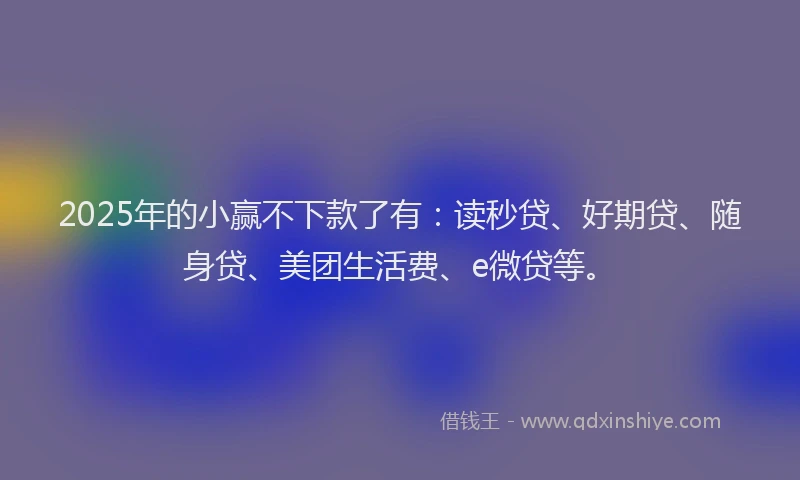 2025年的小赢不下款了有:读秒贷、好期贷、随身贷、美团生活费、e微贷等。